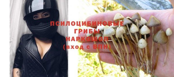 гашиш Горнозаводск