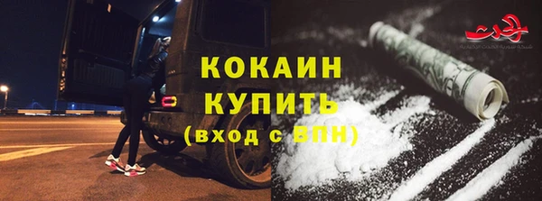 прущие грибы Горняк