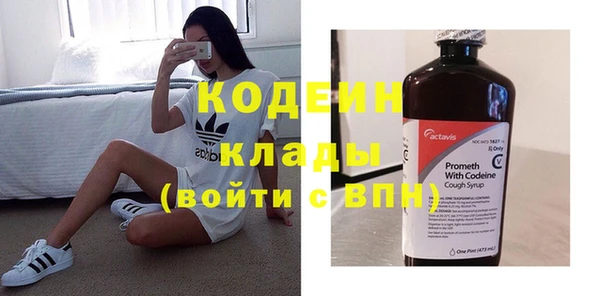 прущие грибы Горняк