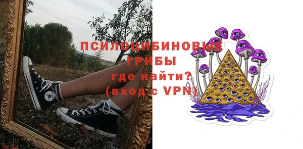 прущие грибы Горняк