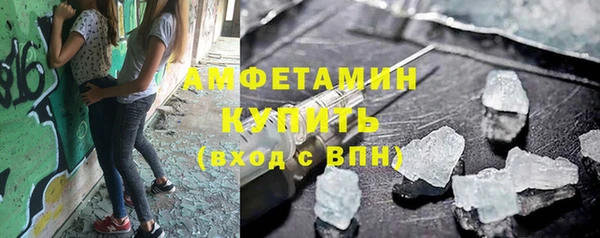прущие грибы Горняк