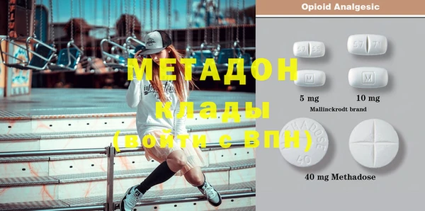 прущие грибы Горняк