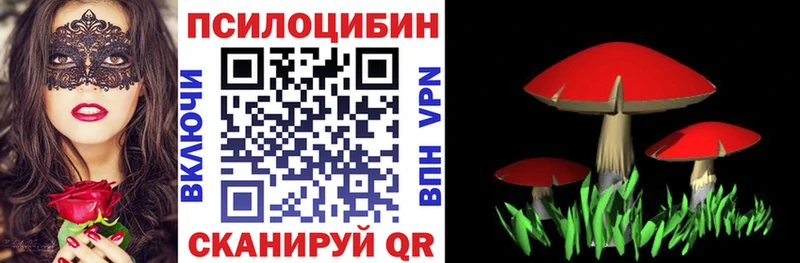 Галлюциногенные грибы ЛСД  Купить где  Нязепетровск 